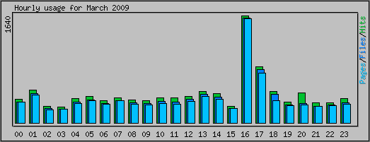 Hourly usage