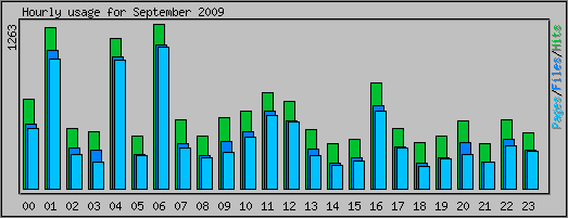 Hourly usage