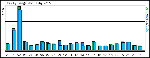 Hourly usage