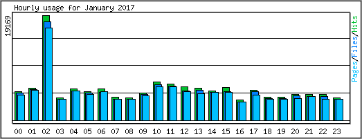 Hourly usage