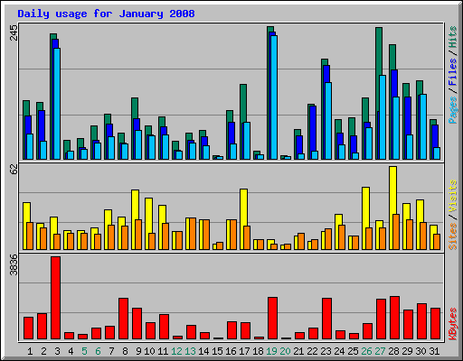 Daily usage for January 2008