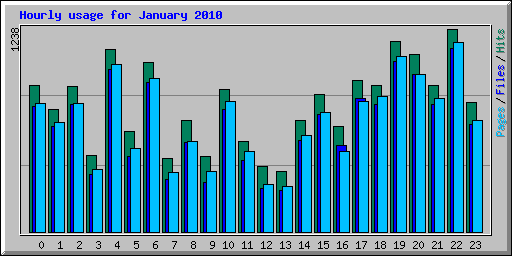 Hourly usage for January 2010